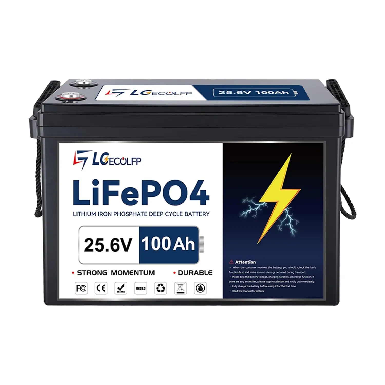 24 V 100AH LiFe PO4 Lithium Battery,Built-in 100A BMS,2560W Power Output,Up to 15000 Cycles,Perfect for Trolling, Custom