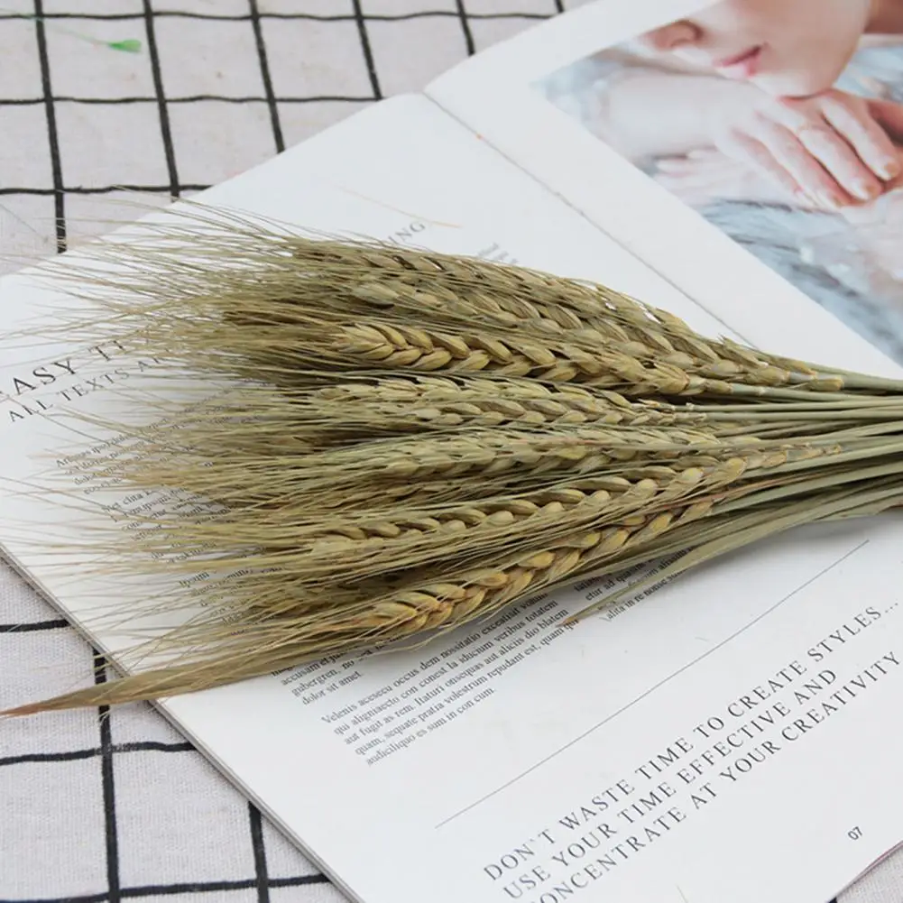 Dried Flower 10 Colors Real Looking Creative Pampas Oat Grass Dried Flower Decor Artificial Flower Decor Decorative