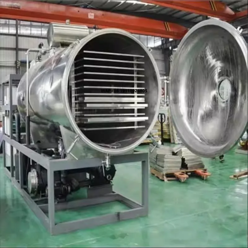 

High Efficiency Fruit Freeze Drying Machine & Fruit Vegetable Dryer, Preserve the Essence of Your Harvest