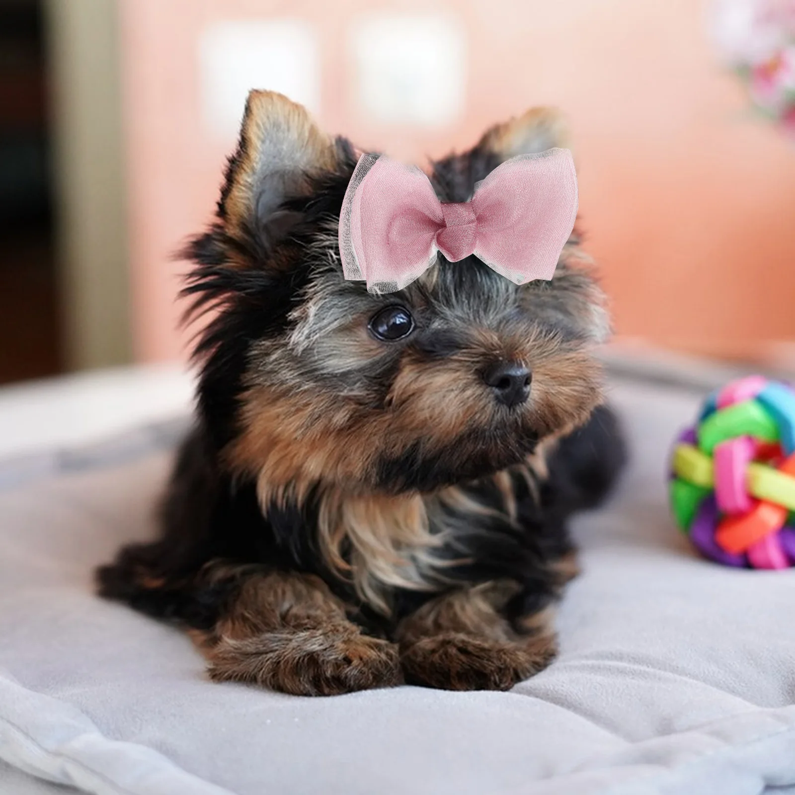 

10pcs Hair Accessories Cute Bows Holiday Pet Headwear Elastic Ties for Dogs Stylish Pet Hair Accessory Functional Present