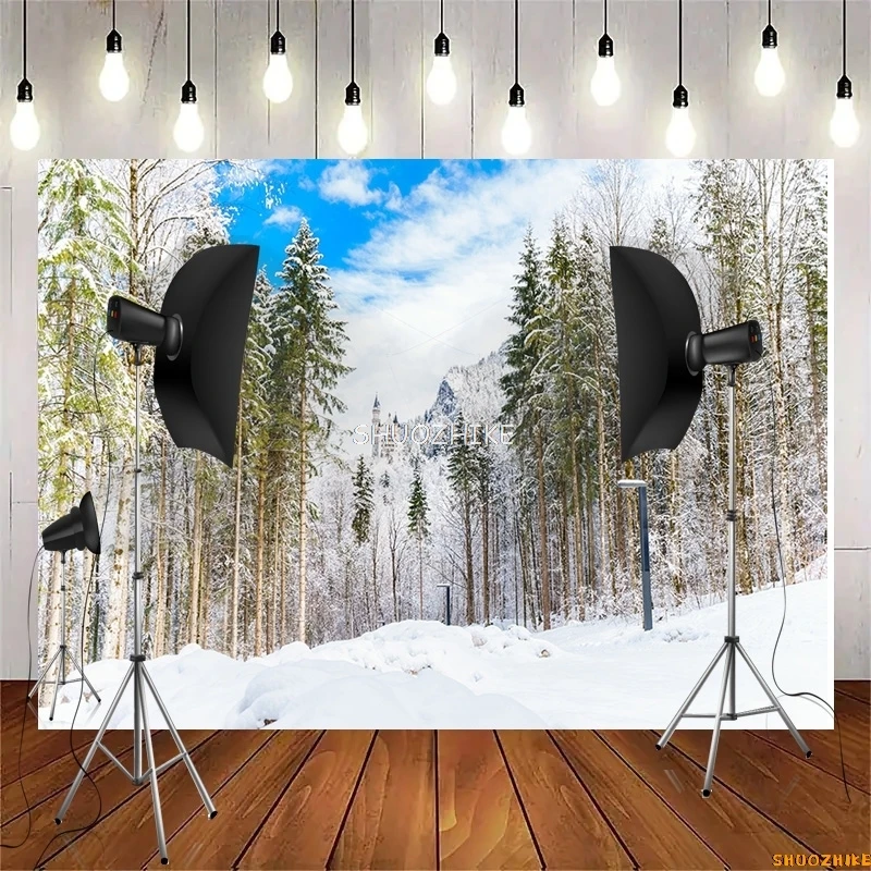 قطرات خلفية للتصوير الفوتوغرافي للغابات الشتوية ، طريق مغطى بالثلوج ، ندف الثلج ، أشجار التنوب ، خلفية الصورة ،