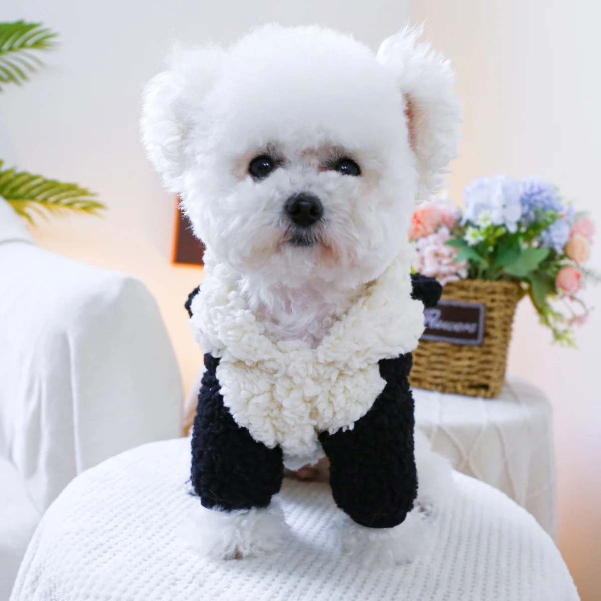 1PC pet clothing autumn and winter thick black and white panda baby hat jacket for small and medium-sized dogs