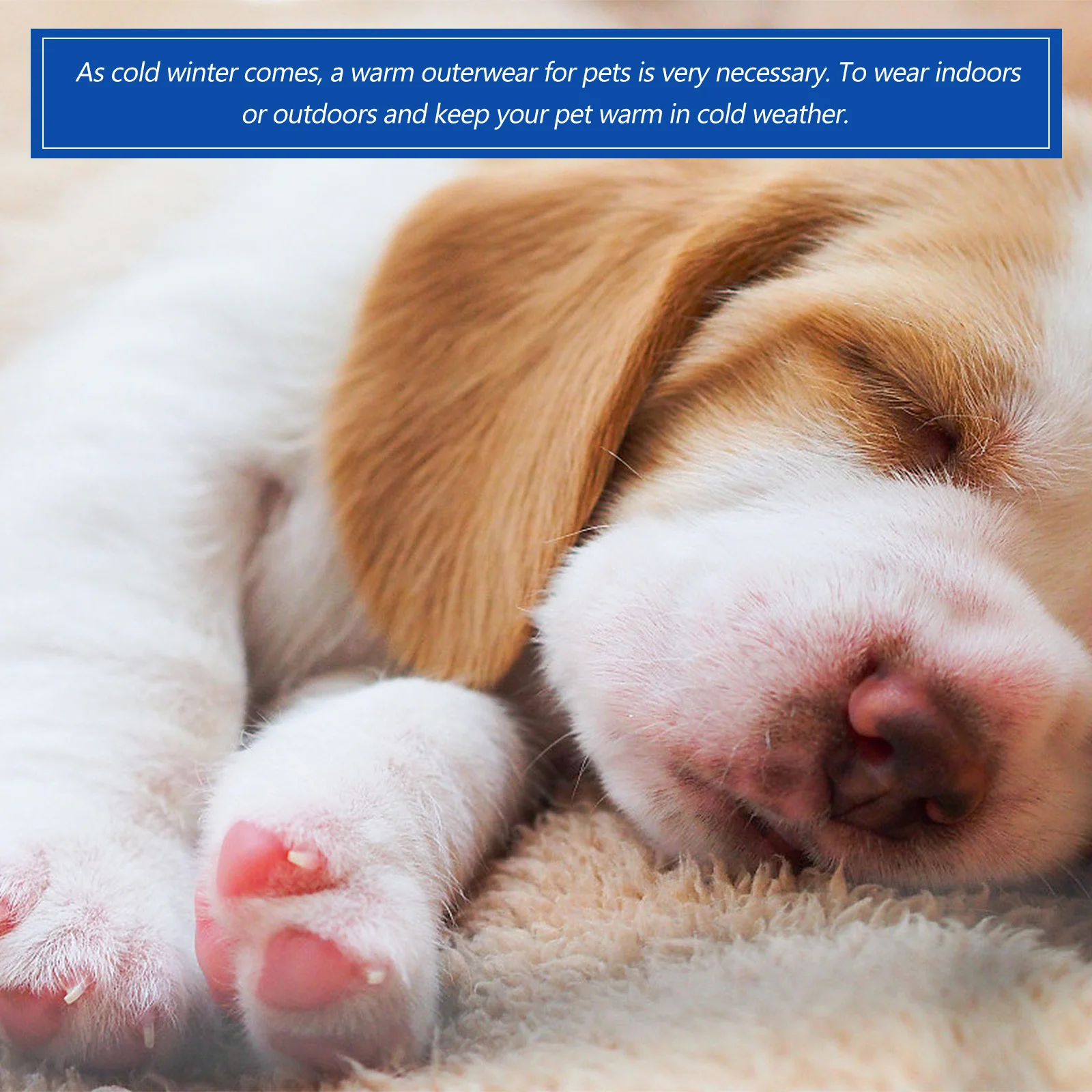 

Pet Knitwear Sweater Dog Cat Puppy Winter Warm Clothes Knitted Blue Size M Pet Warm Sweater Winter Coat Comfortable Outdoor