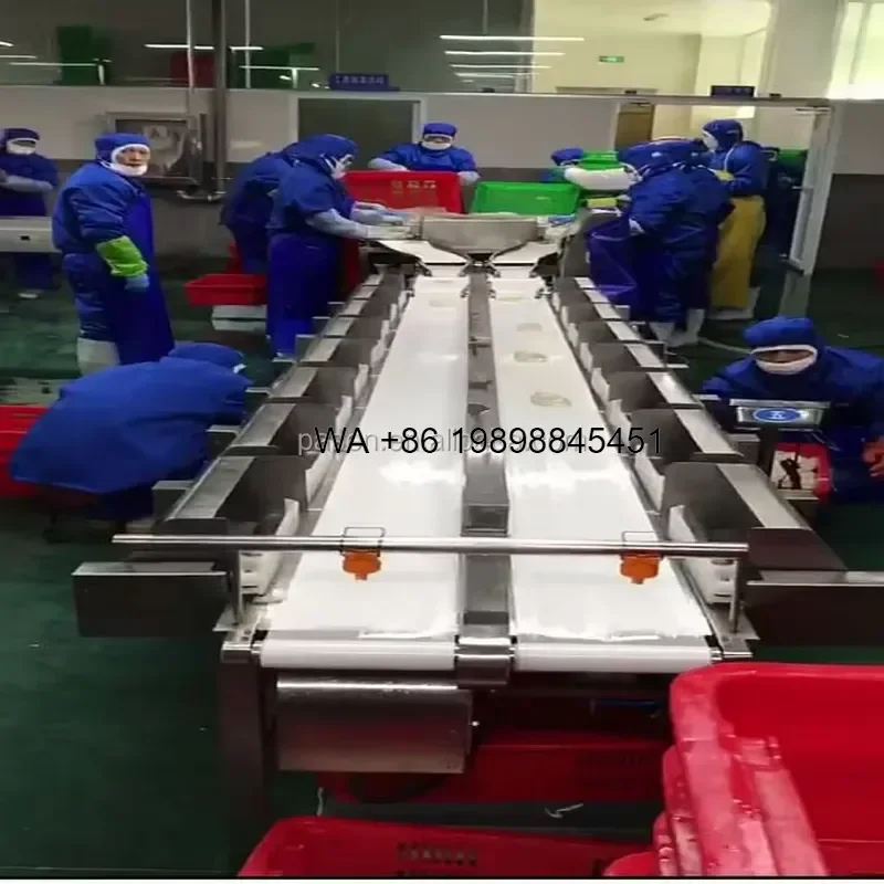 Wmwmnu for Automatic PLC Controlled Belt Fish Sorting Grading Weight Sorting