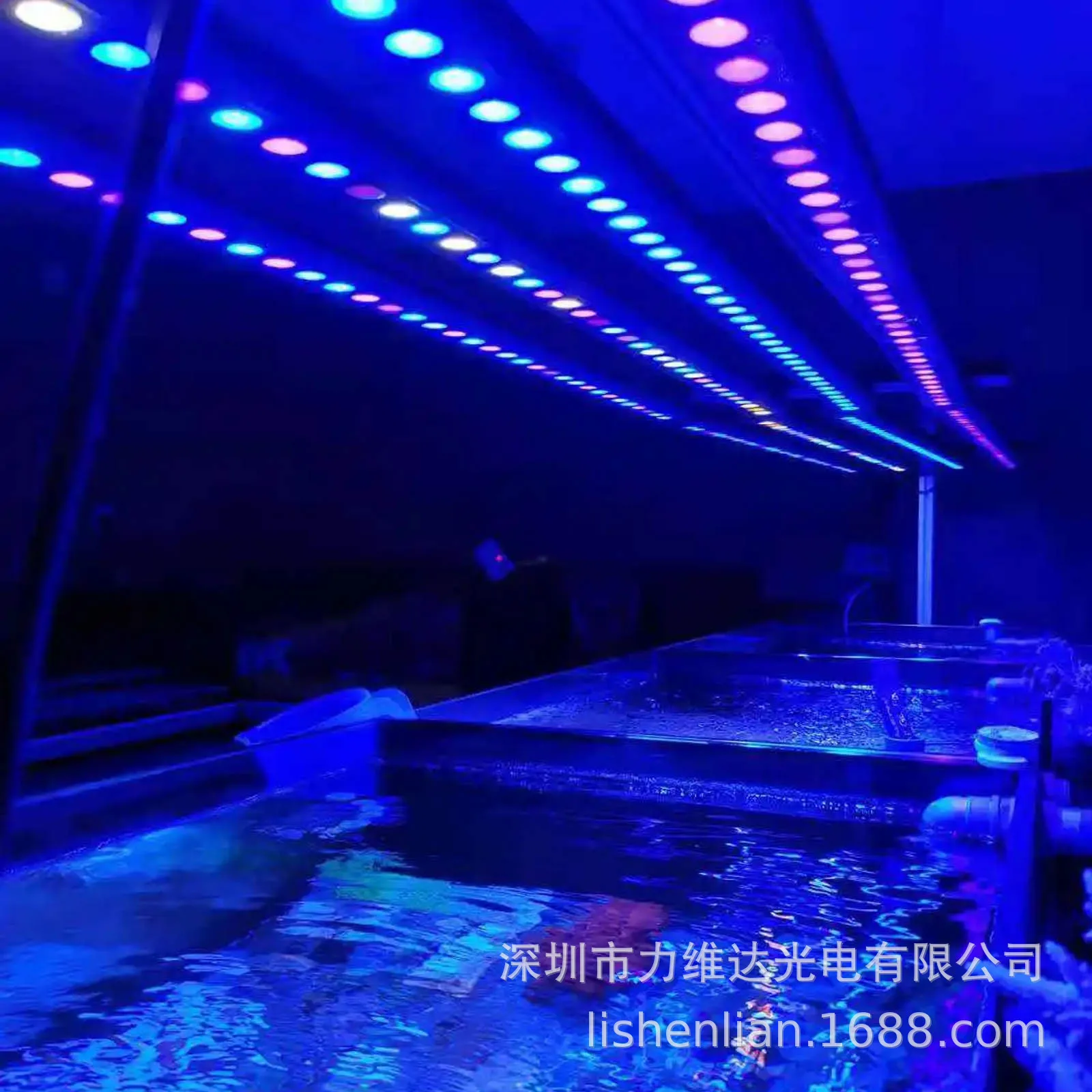 

LED Fish Tank Light Blue and UV 2/3/4/5ft Aquarium Light Bar Landscape Smart Dimming Timer Full Spectrum LED Fish Tank Light