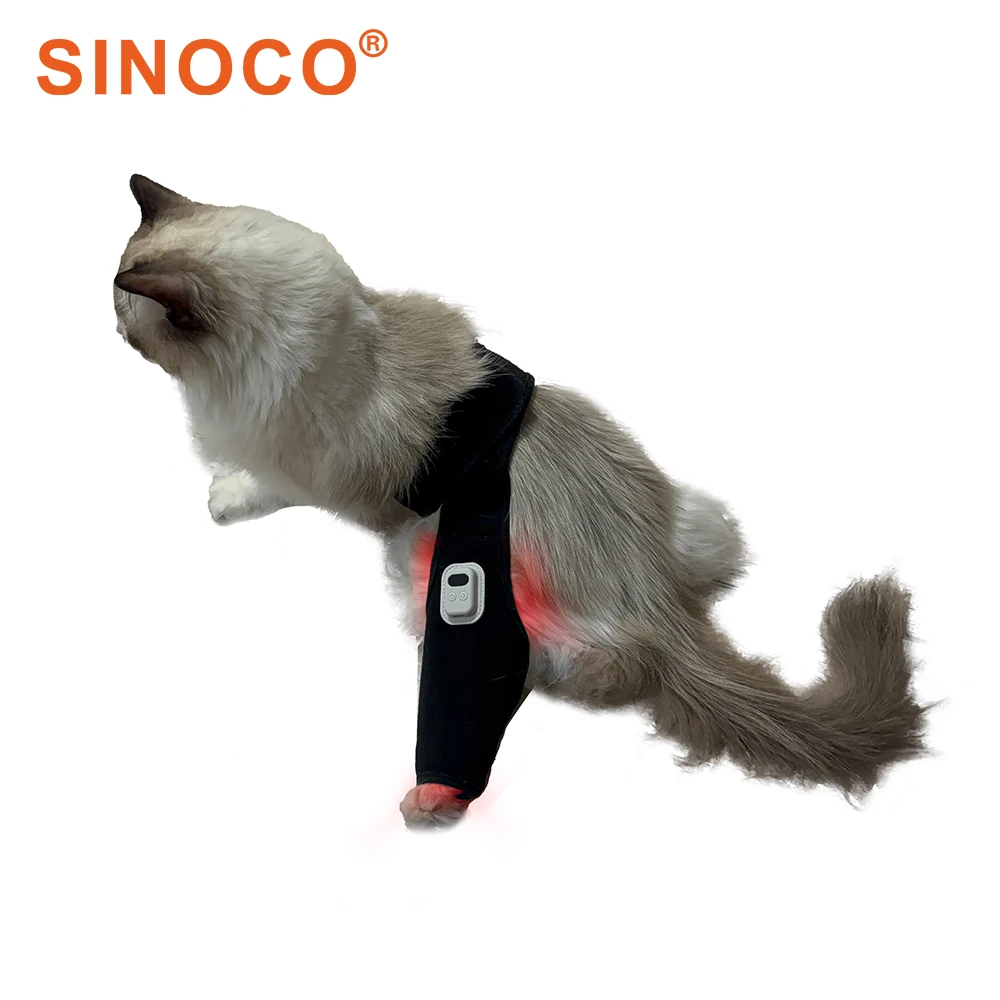 

Device Joint Care for Dogs & Cats Leg Arthritis Rehabilitation 650nm Infrared Light Home Use Non-invasive