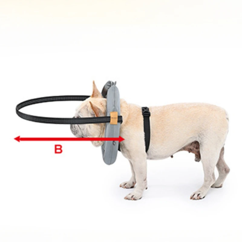 Adjustable Blind Dog Harness with Waterproof Collar Pet Protective Guiding Device Safety Ring for Dog Mobility