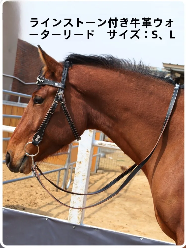 ensemble-de-bride-et-de-mors-en-cuir-water-diamond-equipement-d'equitation-accessoires-fournitures-d'equitation-equipement-sportif