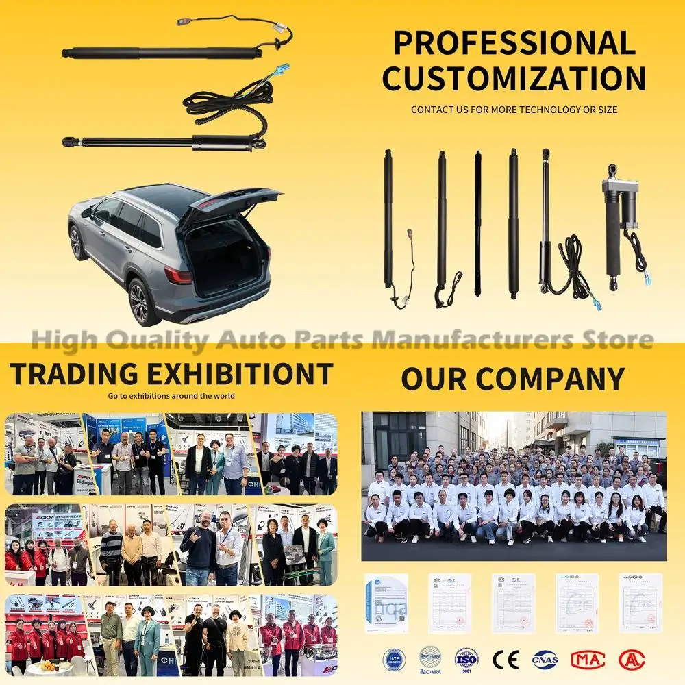 

For One Pair Factory Price High Performance Power Liftgate Gas Struts for BMW X6 X5 X3 X1 Spindle Drive Rear Hatch Support Durab