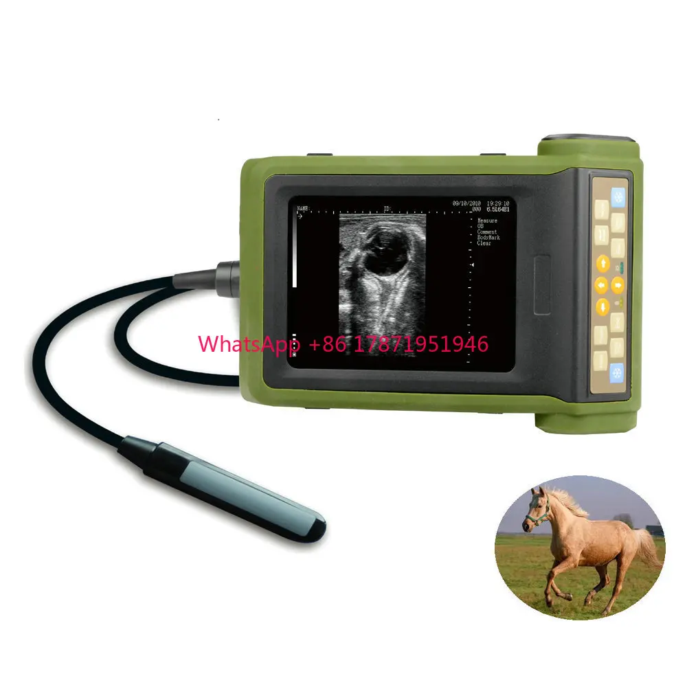 Cow Ultrasound Scanner Veterinary Portable Wireless Ultrasound Scanner Linear Probe Vet Ultrasound Machine RKU10