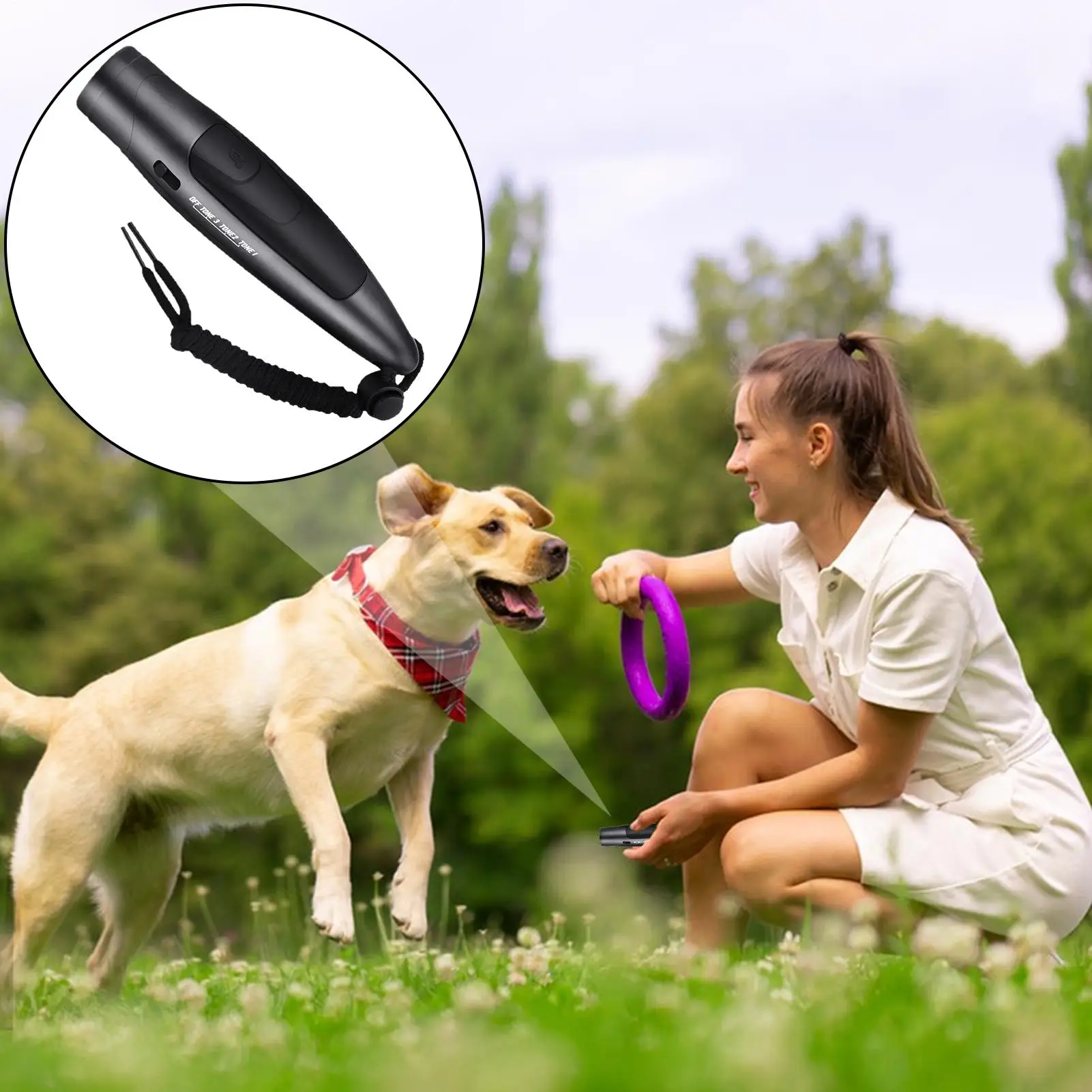 صافرة إلكترونية بصوت عال محمولة طويلة الأمد القرن المدربين صافرة القرن لعشاق المعلم في الهواء الطلق فئة تدريب الحيوانات الأليفة