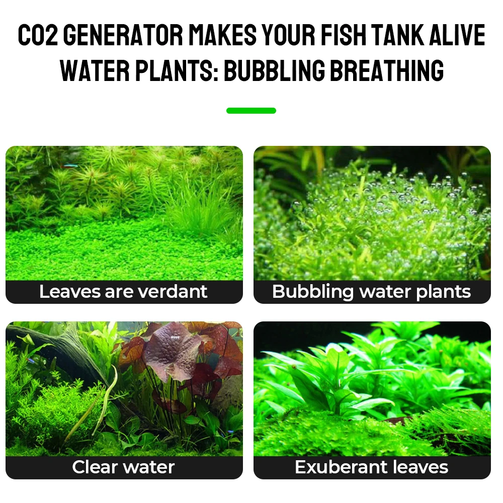 Bubble Counter Diffuser CO2 Generator System Kit For Aquatic Plant Growth With Solenoid Valve Aquarium Equipment