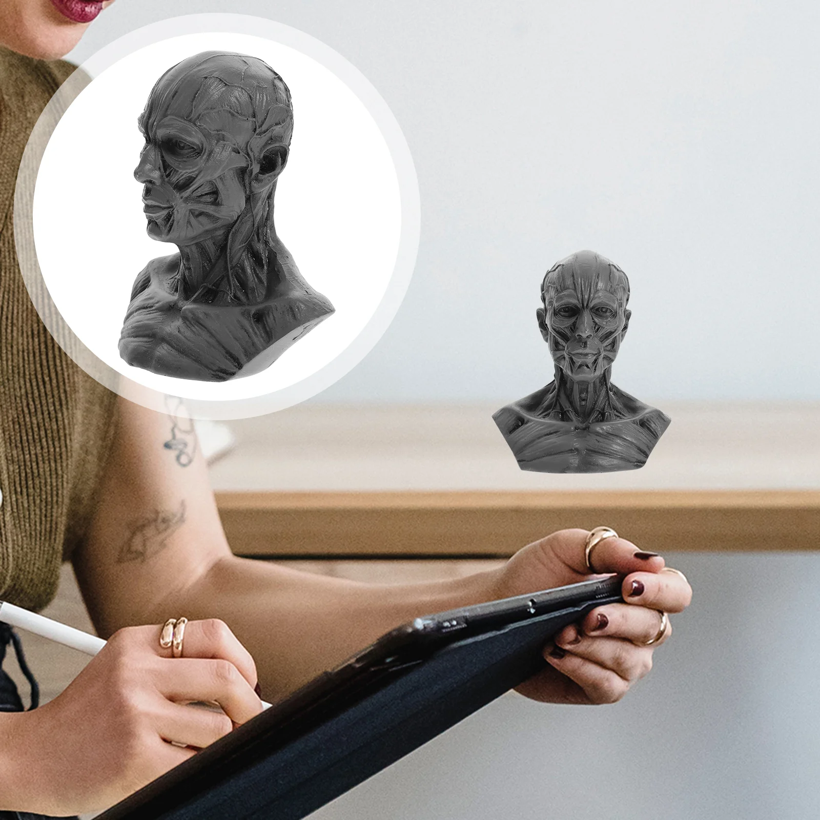 Sketch Statue Desktop Head Anatomy Artist Drawing Model Painting Skull Decor Models Sculpture Muscle Table Resin