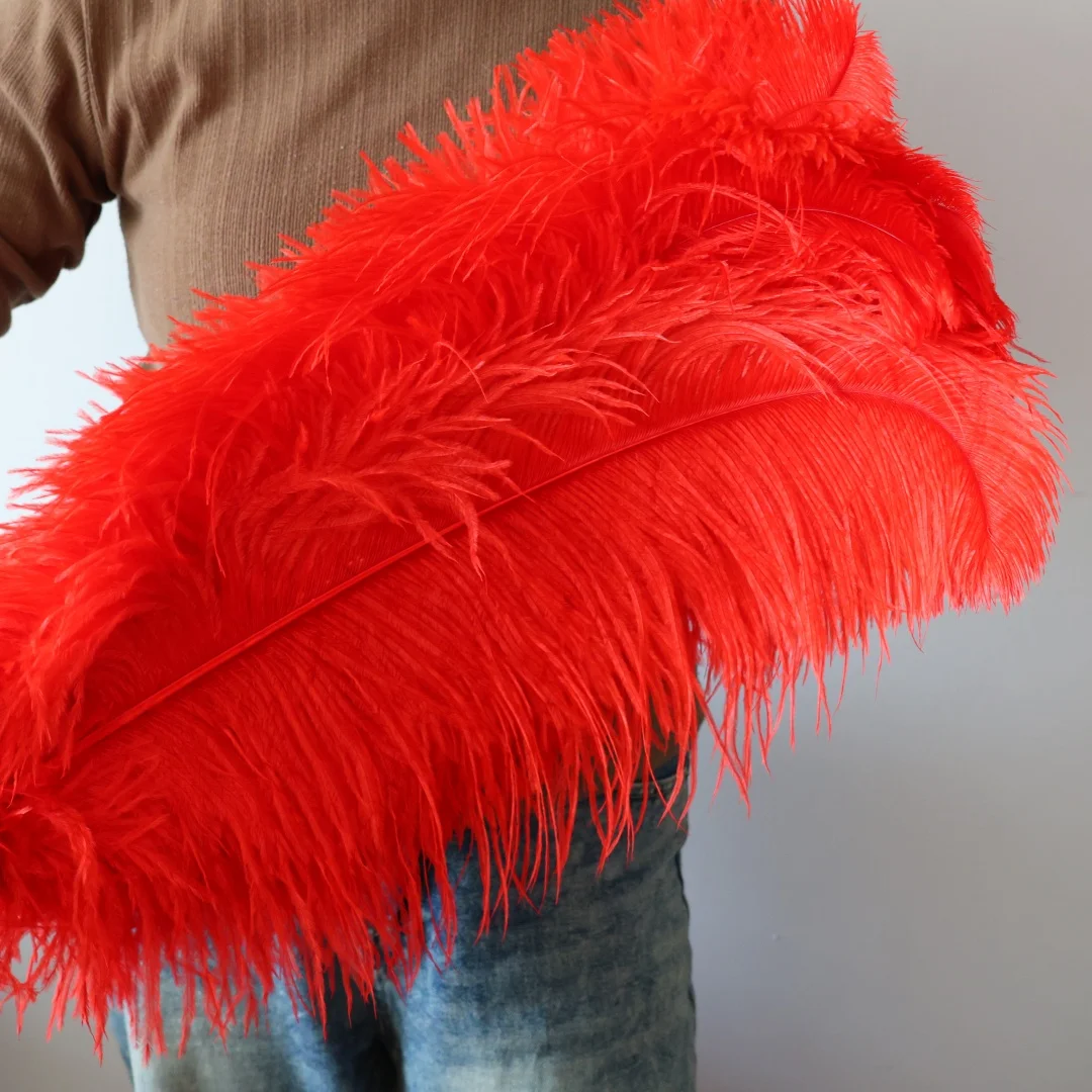 

10PCS Big Red Ostrich Feathers Long Plumas For Diy Jewelry Crafting Carnival Party Decorations 26/28 Inches