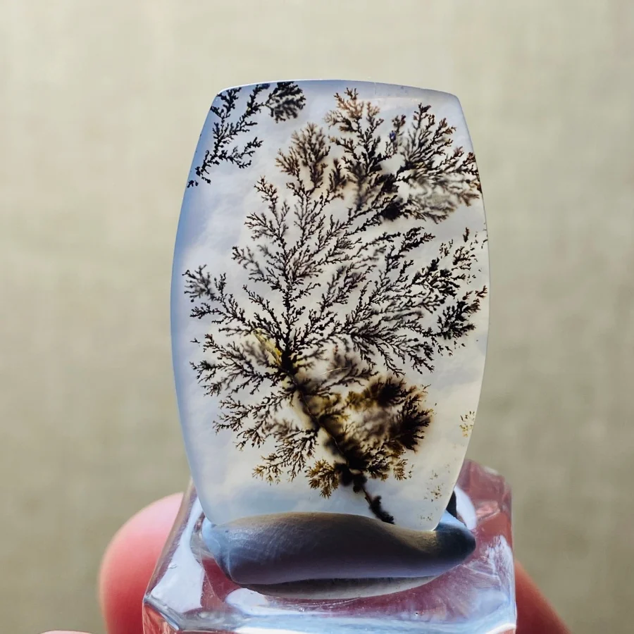 Natural Dendritic Agate Crystal Slice Energy Reiki Spiritual Meditation Healing Home Feng Shui Decoration+Bracket