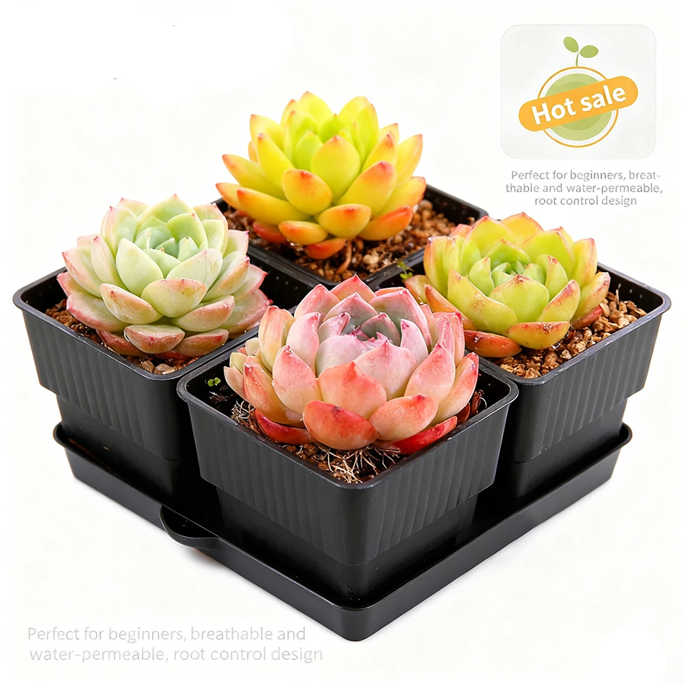 أصيص شبكي أسود قابل للتنفس وصديق للصرف، أوعية عصارية لزراعة الصبار - مثالي للمبتدئين