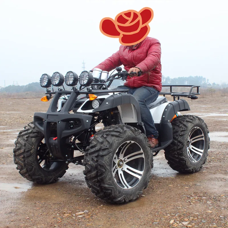 China Factory Gas Powered 250cc Manual Shaft Drive 4-Stroke Electric Start ATV for Adults Quad Bike