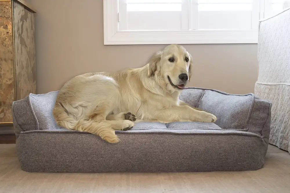 

Arlee Memory Foam Sofa and Couch Style Pet Bed for Dogs and Cats
