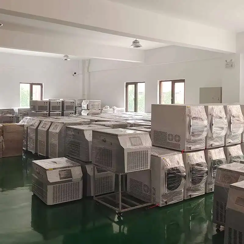 Fully Automatic Fruit And Vegetable Freeze Dryer Machine For Food Home Use Freeze Dryer For Sale