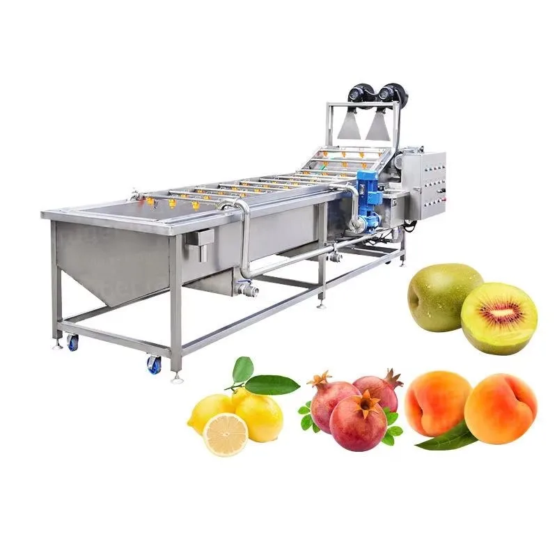 High Pressure Air Bubble Vegetable Tomatoes Carrot Washer Fruit Pineapple Cleaning Mushroom Drying Strawberry Washing Machine