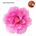 Rose Elastic 20cm
