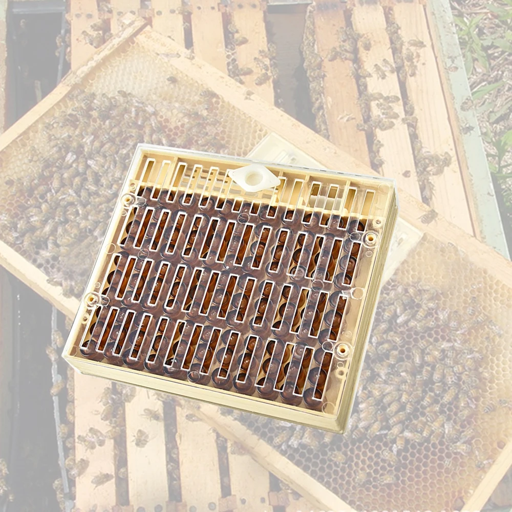 

Nicot Queen Rearing Breeding Box Kit Brown 120PCS Cell Cup Plastic Non Graft High Accept Deposit Eggs Beekeeping Tools Supplies