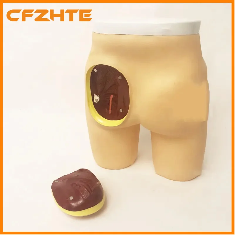 HS10C Gluteal Muscle Injection Model, Intramuscular Injection Training Manikin with Sciatic Nerve Positioning