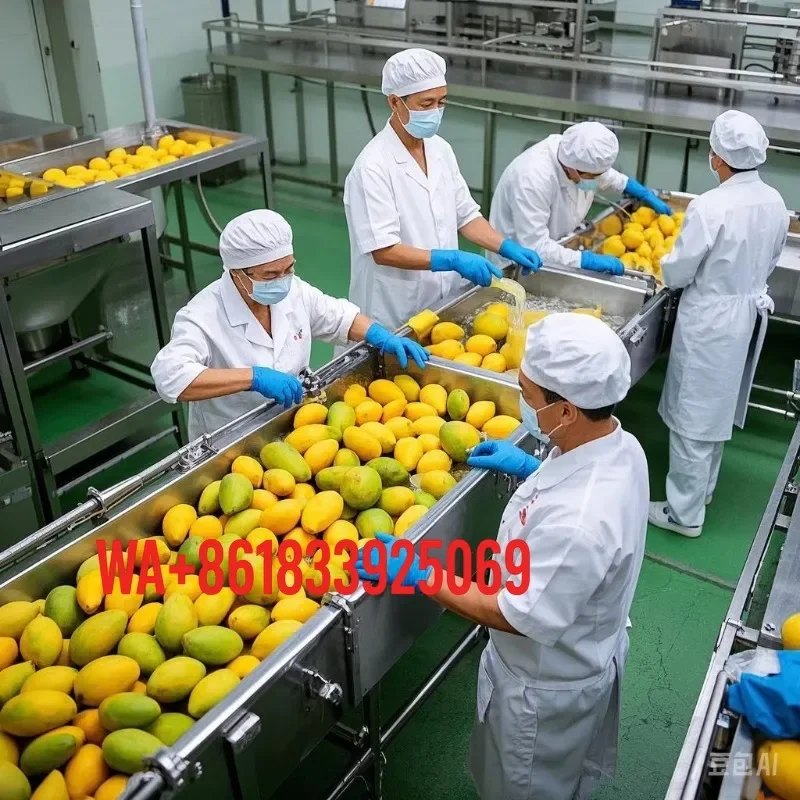 Raspberry Juice Beverage Puree Turnkey Production Line Stainless Steel 304 Automated CIP SIP System Factory Price Hot Sale