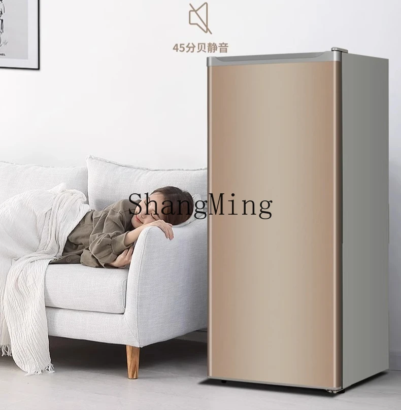 ZYY piccolo frigorifero congelato 180L congelatore a cassetto verticale piccolo risparmio energetico domestico