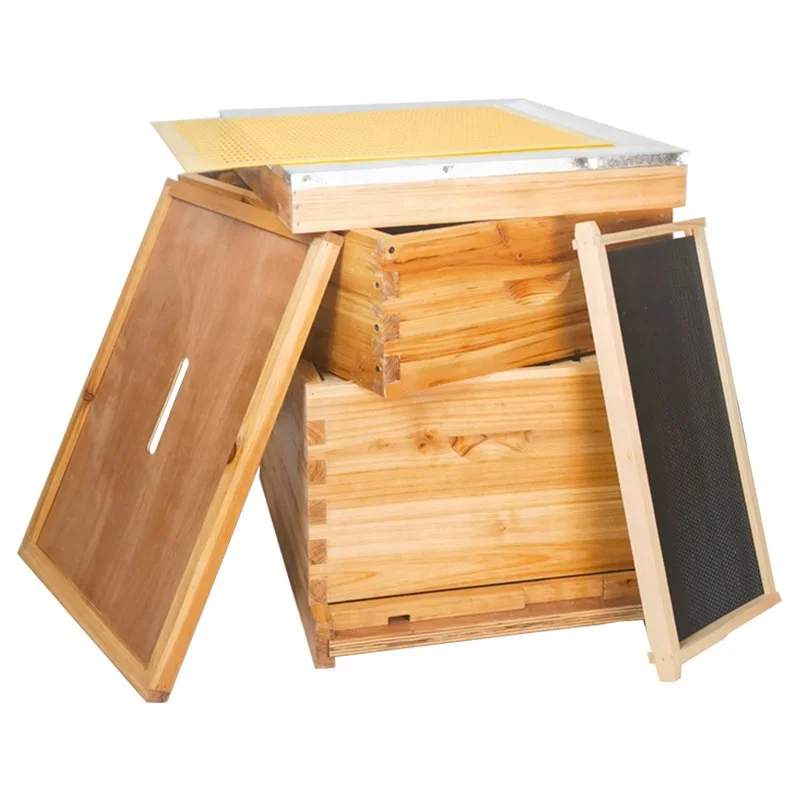 New Automatic Observation Langstroth Deep Bee Hive Box 10 Frame Wood Construction With 100% Natural Beeswax Window
