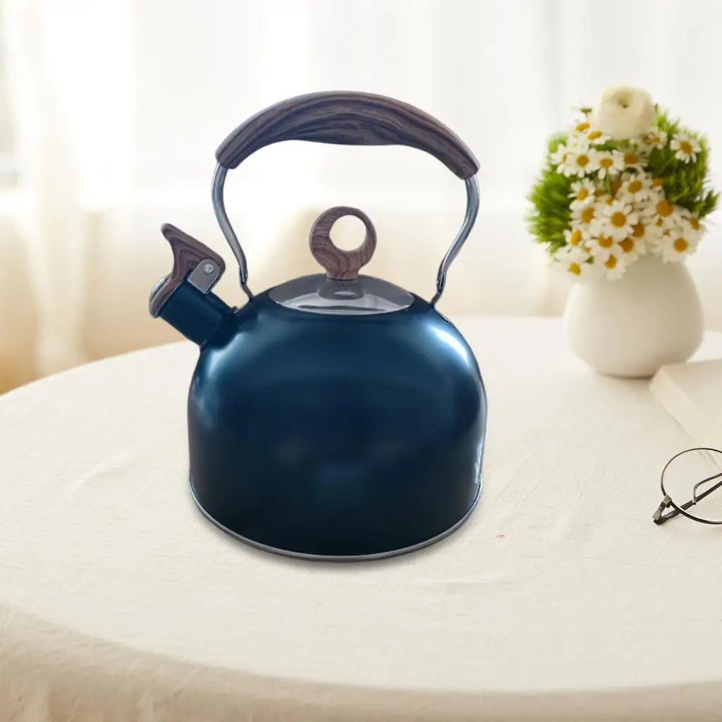 

Современный чайник из нержавеющей стали с эргономичной ручкой и свистящим носиком для плиты, для кухни и дома