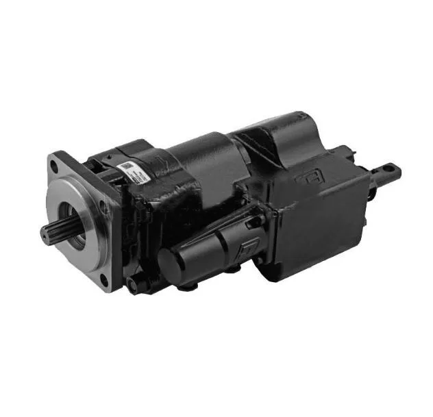 Шестеренный насос G101/G102-20 SG102-25 C101/C102-25 Масляный насос из чугуна