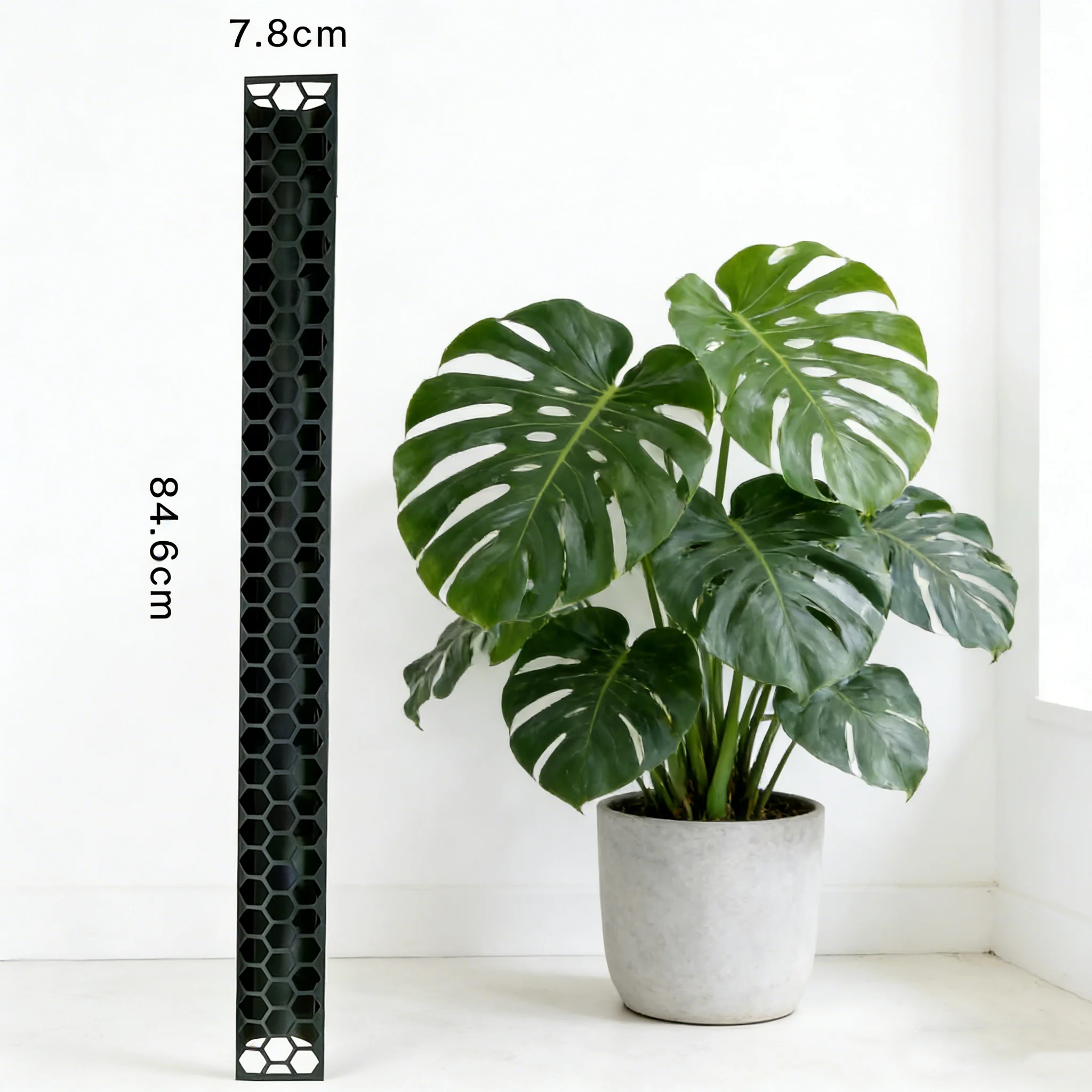 3er-Set Moosstangen für Zimmerpflanzen – Kletterhilfen und Pflanzenstützen für Monstera – Moosstäbe für Pflanzenwachstum – Gartenzubehör – Detail 8