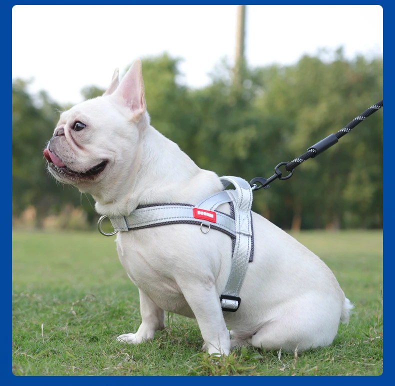 Hunde-Haustier-Brustgeschirr, breites Gurtband, zweifarbig, kontrastierend, vier Seadon-Hundegeschirr, Nylongriff, Outdoor-Hundegeschirr, reflektierend – Detail 17