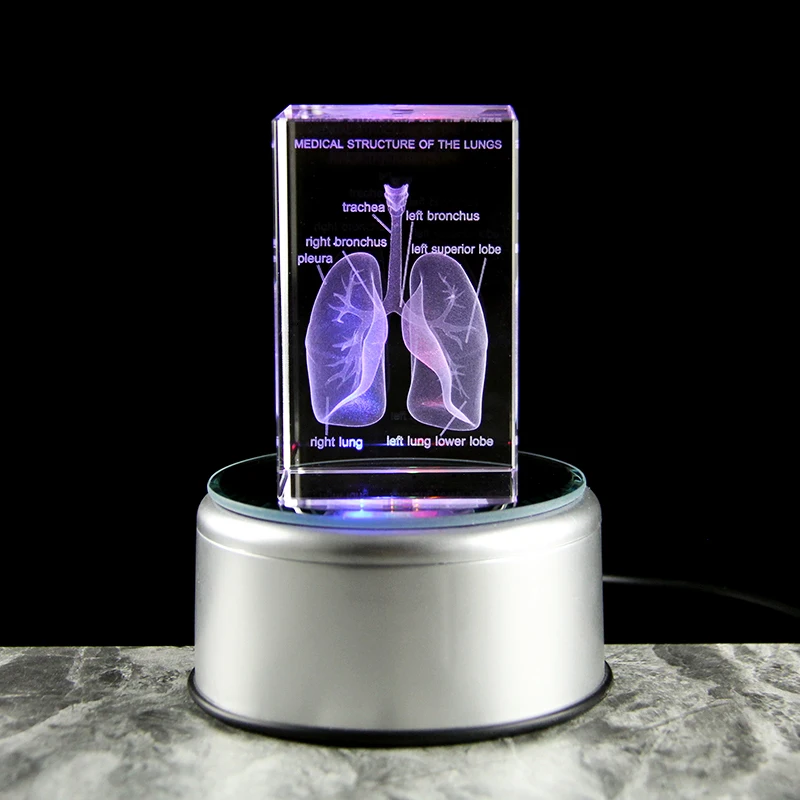 Original Crystal 3D Laser Engraved Lung Model Cube Anatomical Specimens Respiratory Medical Hospital Souvenir Gift Paperweight