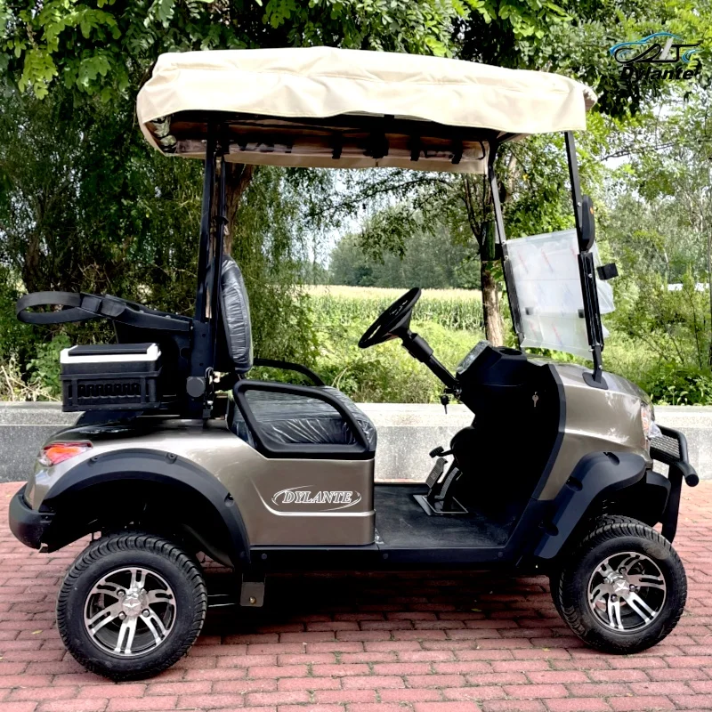 Brand New 2 Seater 60V Electric Golf Cart Off Road Vehicle Custom Made 400cc Automatic 4 Stroke Engine Hunting Driving