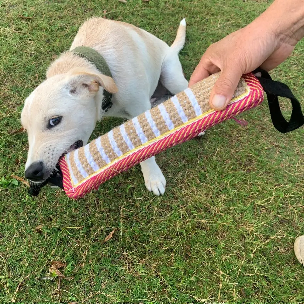 Puppy Chewing Toy Bite-resistant Dog Bite Pillow Interactive Rope Handles Dog Tug Toy Durable Pet Chew Sticks Teeth Grinding