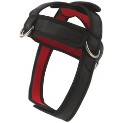 Head Training Harness Adjustable Neck Trainer Harness Neck Weight Lifting Fitness Equipment Muscle Strengthener Training Tool