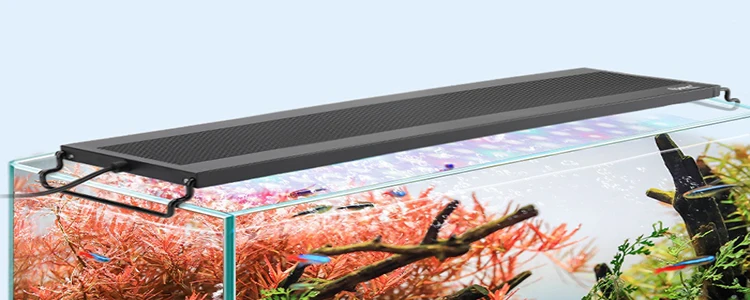 Lámpara LED Para Acuario De 48 Cm, Lámpara De Iluminación LED Para Acuario De 48 Cm Lampara De Iluminacion Led Para Acuario Con Control Remoto 95997173 Lámpara LED Para Acuario De 48 Cm, Lámpara De Iluminación LED Para Acuario De 48 Cm Lampara De Iluminacion Led Para Acuario Con Control Remoto 95997173