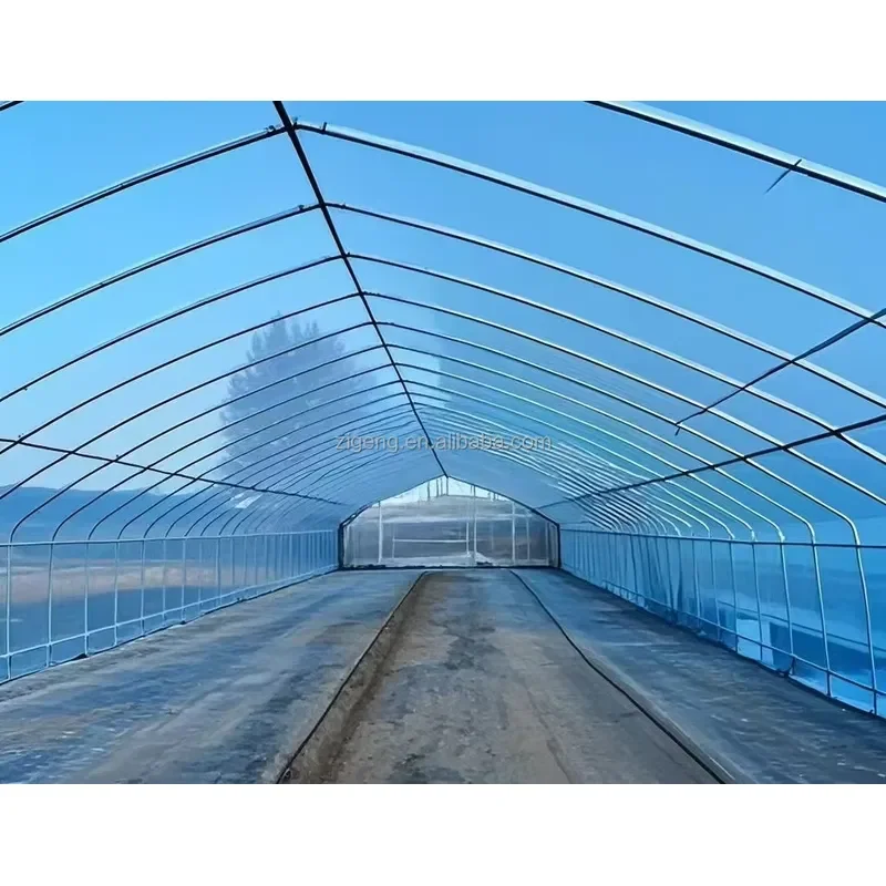 Walk-in Polytunnel Tunnel Greenhouse Outdoor Plant Grow Tent Hothouse Round Gable Home Garden Greenhouse Heat Shed