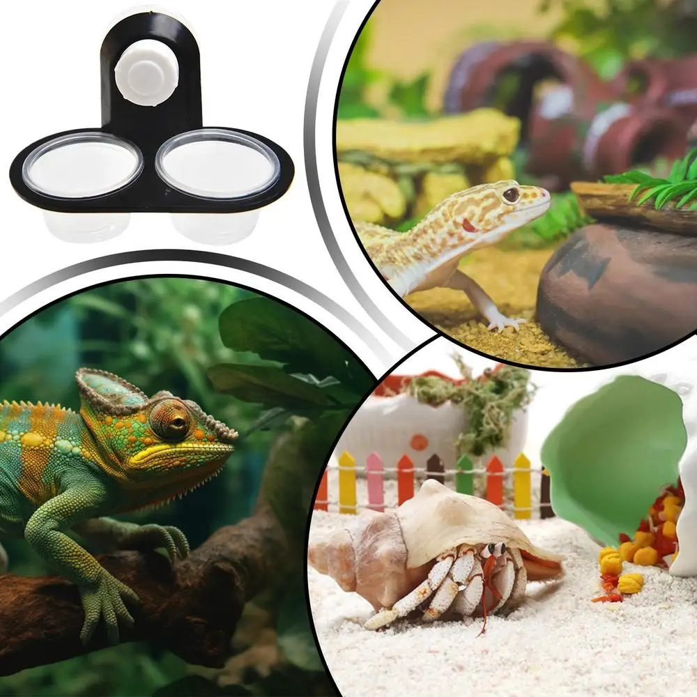 Reptilienzubehör: Insekten-, Spinnen-, Ameisen-Nester, Schlangen-, Gecko-Futter- und Wasserschalen, Terrarium-Zuchtkästen, Tierbedarf – Detail 10