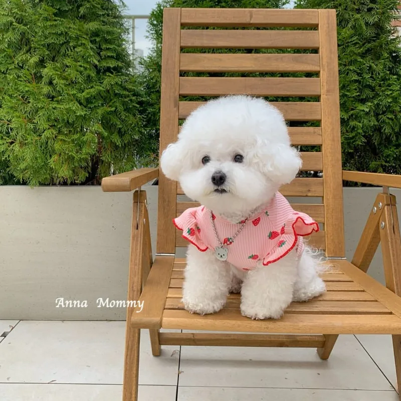 Cute Lace Pet Dog Clothing Breathable Flying Sleeve Strawberry Puppy Vest Teddy Bichon Schnauzer poodle For Small Dog Clothes