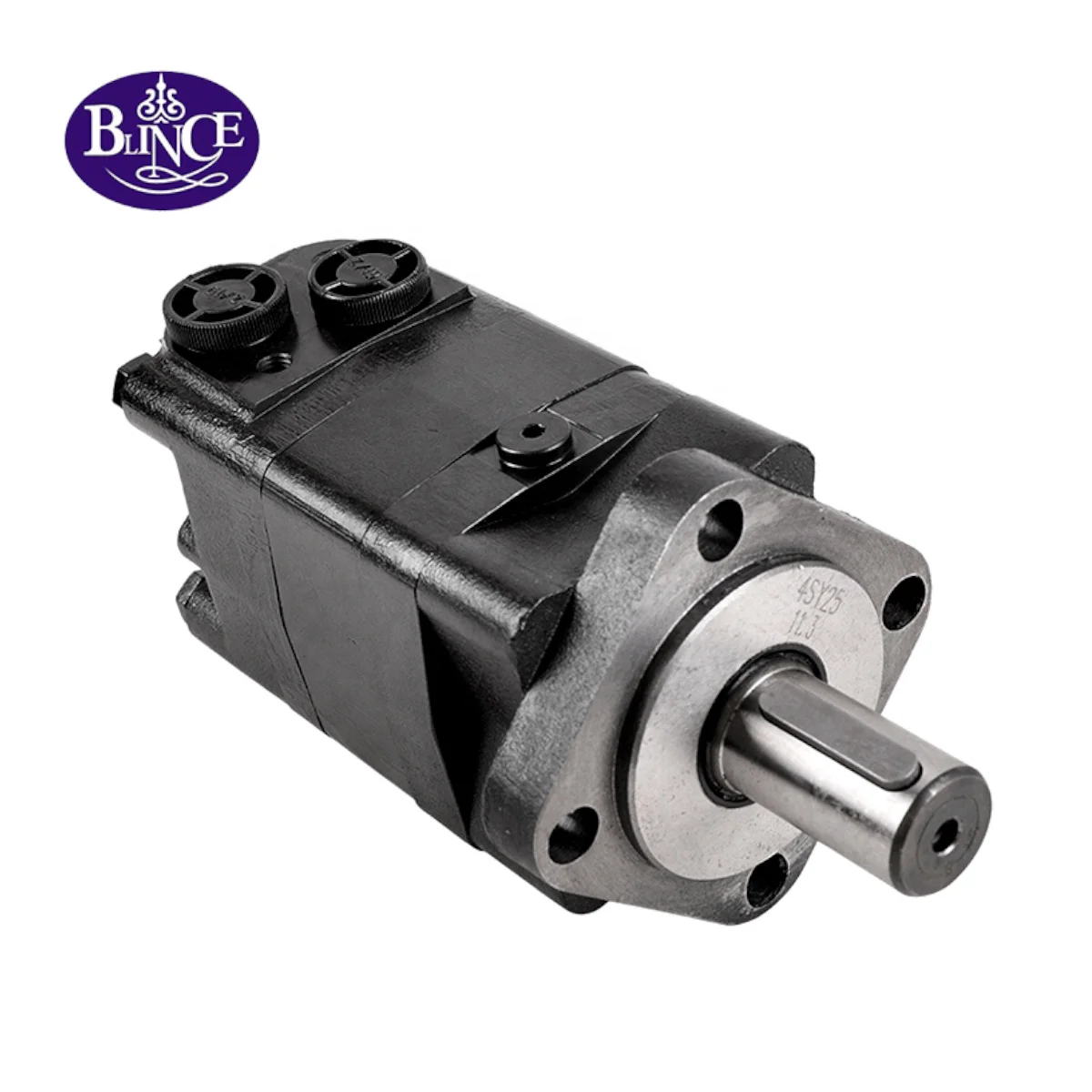 

Hydraulic Valve Pump OMS 250 Hydrolikmotor BMS-250cc Orbit Motor Use For Manual Hydraulic Forklift