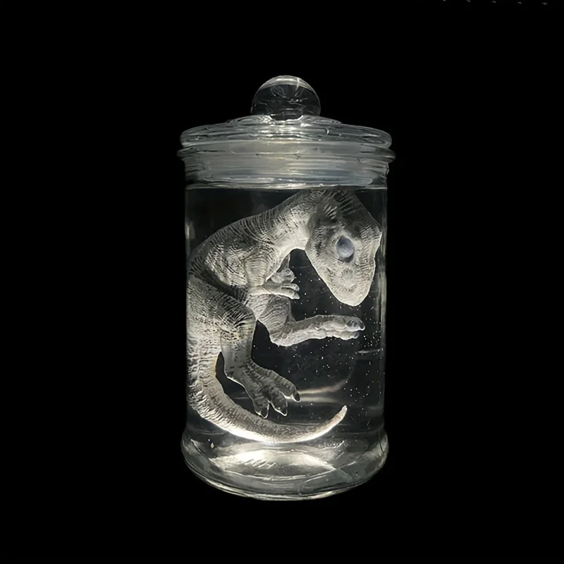 Embryo Glass Container  Jurassic World  T-Rex Tyrannosaurus Rex Draco Rex Dino Baby InGen Embryo Jar with Led lamp