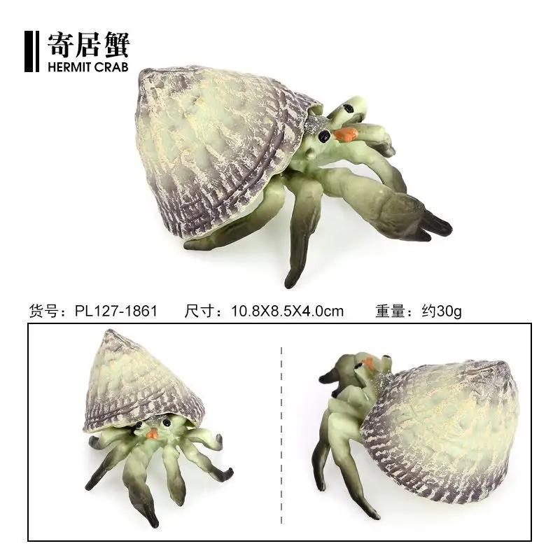 Children's simulation marine animal model crab snail crab submarine creature hermit crab plastic toy cognitive ornament