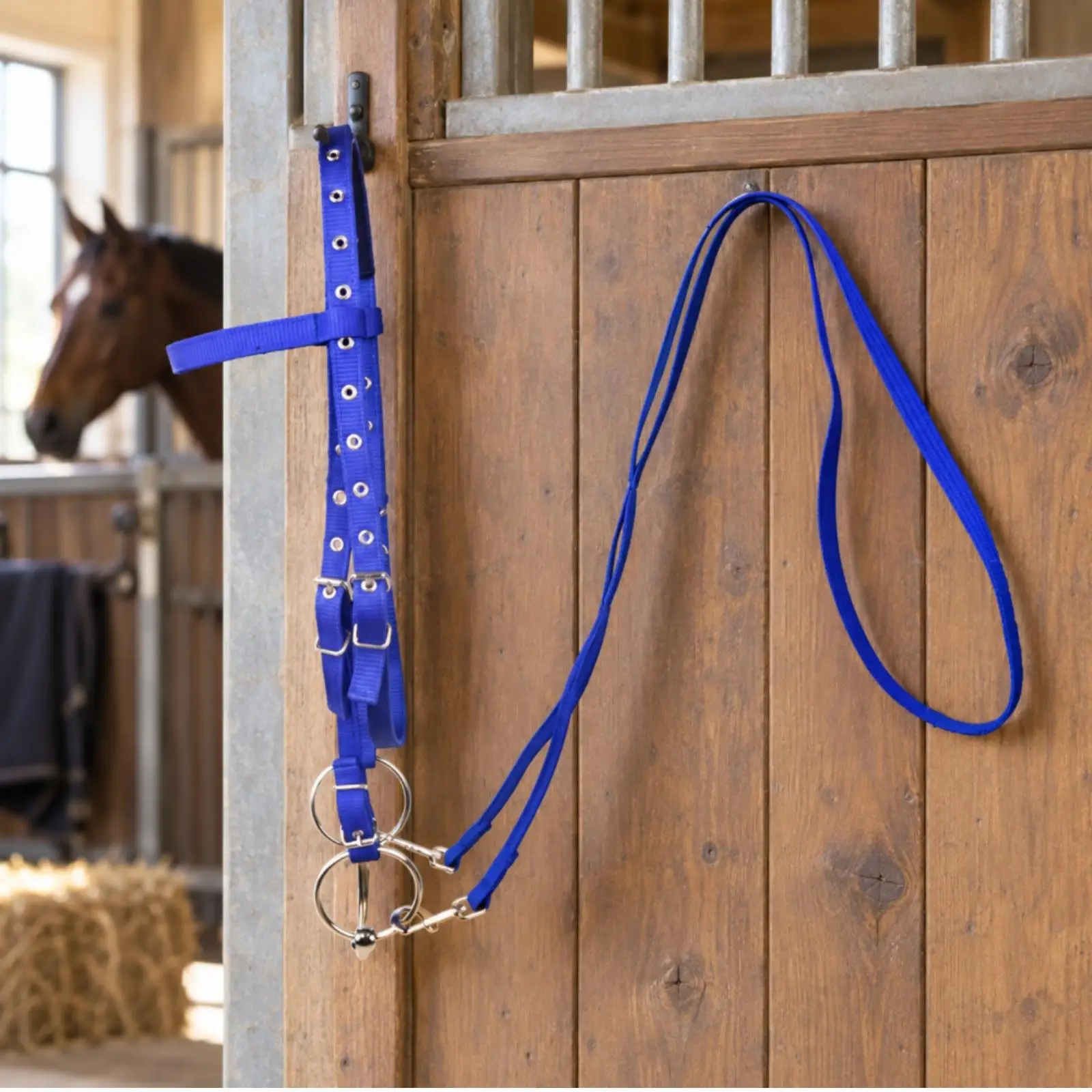 Equestrian Bridle Halter for Small Horses with Metal Buckles and Long Loop Reins for Daily Training Use