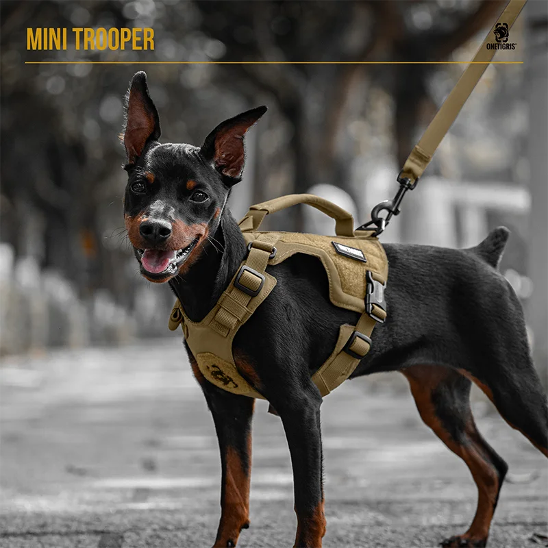 

Onetigris MINI TROOPER Dog Harness and Leash Set, No Pull Dog Vest Fully Adjustable Harness for Puppy Small Sized Dogs and Cats