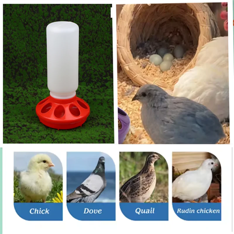 

1PC Water-saving Feed Poultry Thickened Plastic Feeder And Drinker Automatic Waterer Feeding For Raising Chickens Poultry