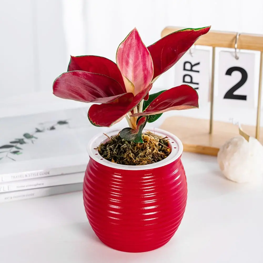 Automatic Water-Absorbing Self-Watering Plant Pots Transparent Double Layer Desktop Flower Pot Durable Plastic