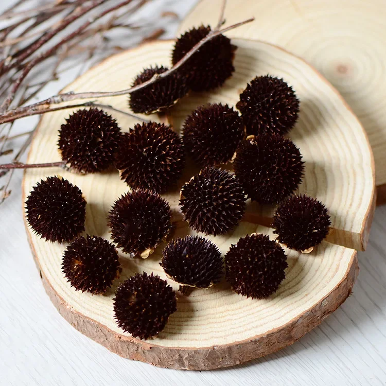 50pcs,Natural Dried Rudbeckia hybrida flower head for wedding Party home Decoration Accessories,eternal rose DIY gift box decor